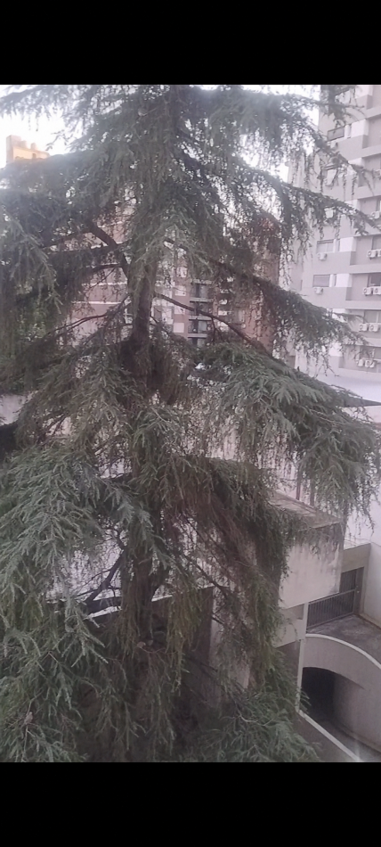 DEPARTAMENTO 2 DORMITORIIOS CON BALCON SALTA 1700